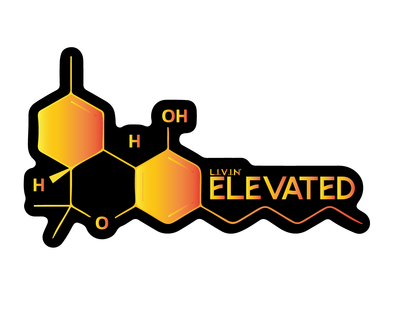 The Molecule