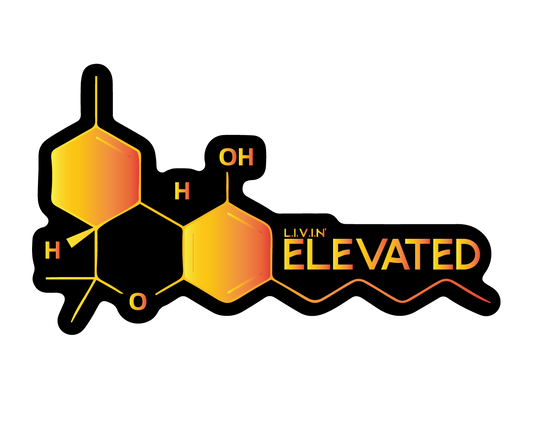 The Molecule